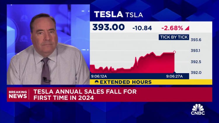 Tesla reports first ever annual vehicle deliveries decline, stock falls