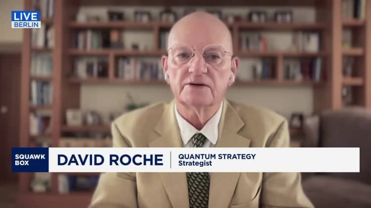 David Roche: Germany's coalition government, a 'bumpy ride' going in the right direction