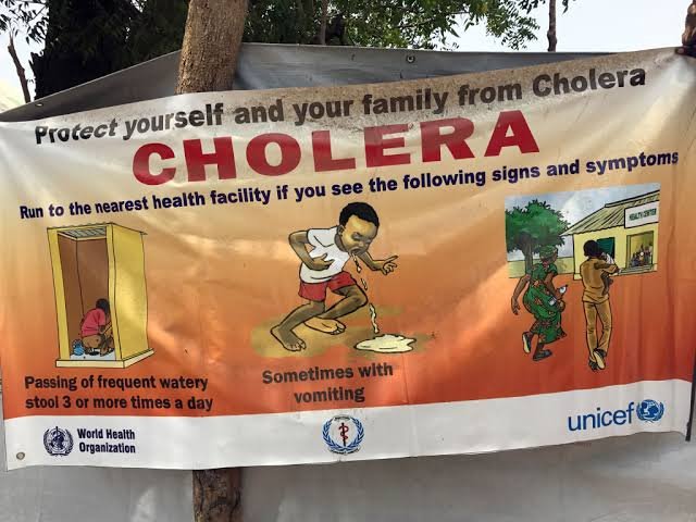 kolera afrika - Info Malang Raya