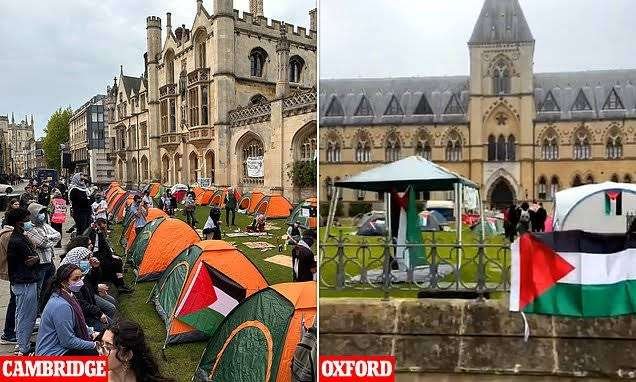 Palestina pro Oxford Cambridge