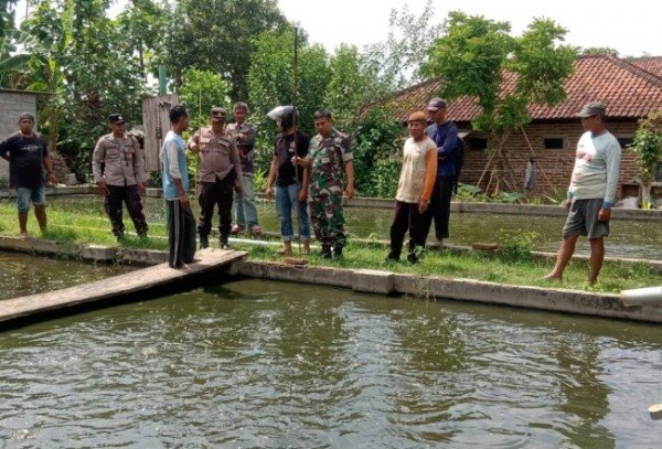 Lokasi TKP dua balita tewas terjebur kolam ikan di Desa Bono Kecamatan Bjatimtimes P688bd741408c4ca8.md