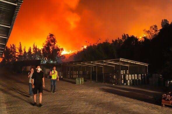 Turki-karhutla-Izmir.jpeg Turki karhutla Izmir