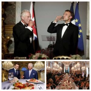 Charles Macron dinner scaled