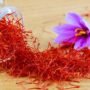 bunga safron saffron