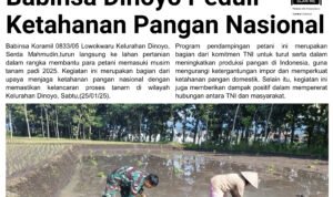 9 - Info Malang Raya