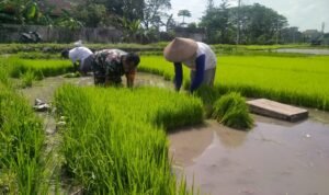 IMG 20250126 WA0022 - Info Malang Raya