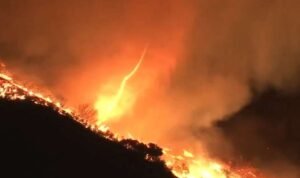 muncul tornado api di kebakaran Los Angeles CA