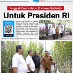 29 MEI 8