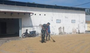 IMG 20250601 WA0016