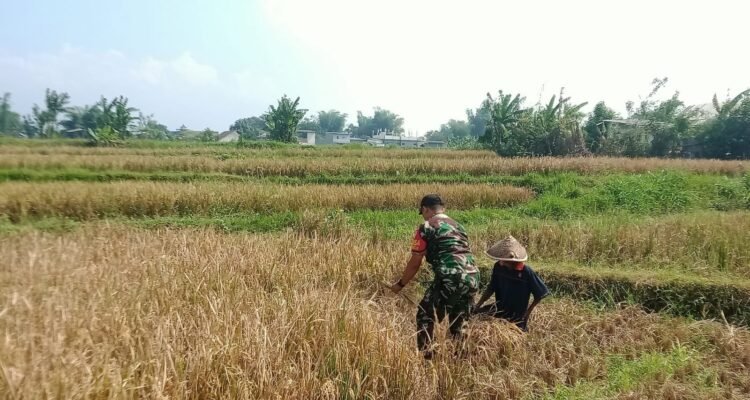 IMG 20250614 WA0013
