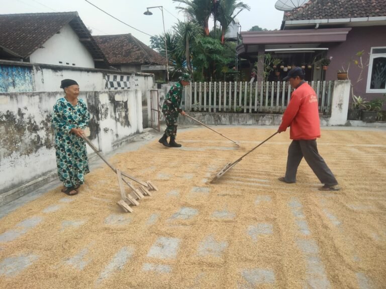 IMG 20250624 WA0005