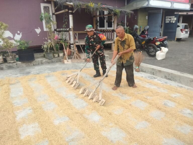 IMG 20250629 WA0005
