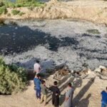 Iraq ikan Najaf