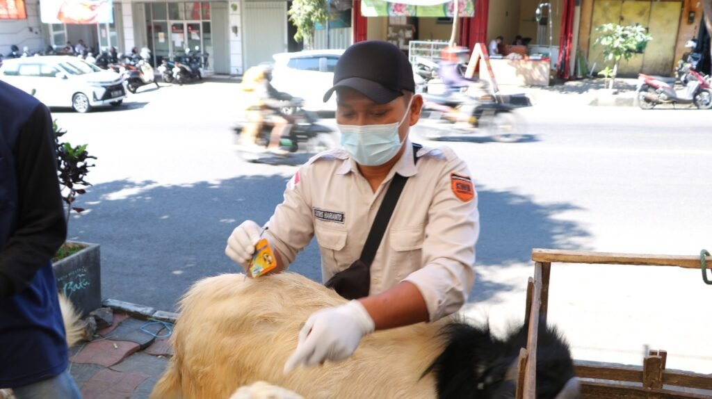 IMR - Periksa Kesehatan Hewan Kurban, Masyarakat Diminta Beli Hewan Sesuai Syariat - Info Malang Raya WhatsApp Image 2025 06 04 at 15.28.35 46ac4cb4 - Info Malang Raya