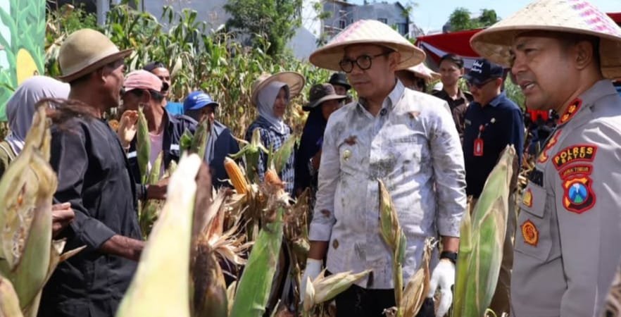 IMR - Jadikan Pertanian Kota Batu Lebih Atraktif, Modern dan Membanggakan 8 WhatsApp Image 2025 06 20 at 14.15.04 d53ac4d3