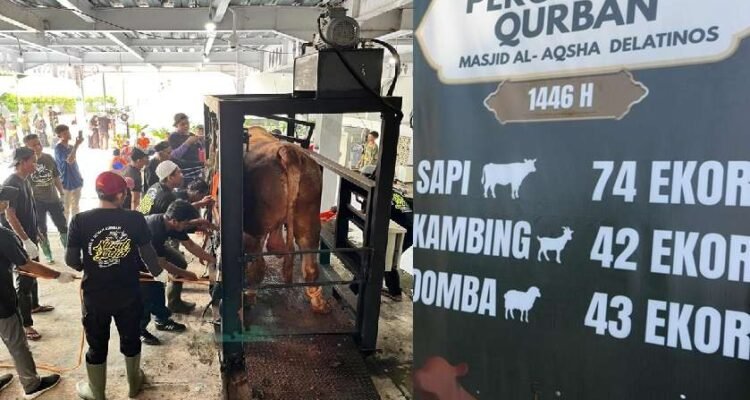 daging qurban idul adha masjid al aqsho BSD 1