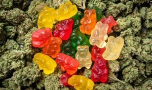 ganja gummy