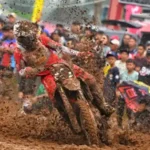 AA1IpINO - Info Malang Raya