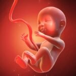 AA1aaK28 - Info Malang Raya