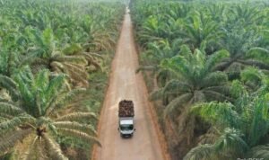 BB1j62Uy - Info Malang Raya