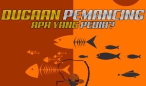 DUGAAN PEMANCING APAKAH YANG PALING PEDIH KETIKA MEMANCING - Info Malang Raya