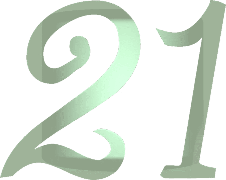 Number 21 800x800 pixels