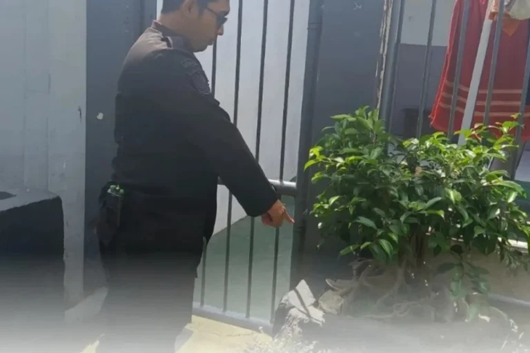 Penyelundupan Narkoba.webp - Info Malang Raya