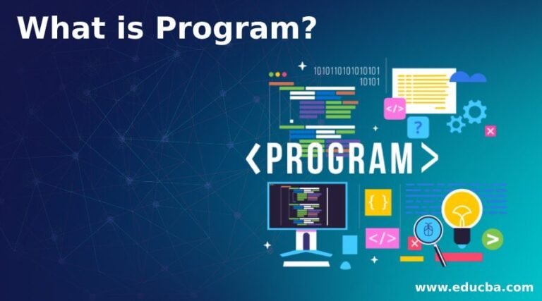 What is Program 1