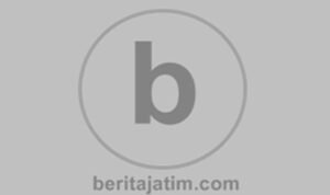 bejat logo