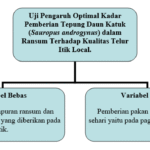 kerangka konseptual - Info Malang Raya