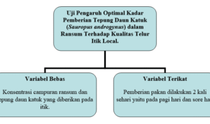 kerangka konseptual - Info Malang Raya