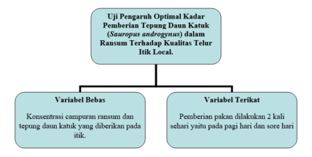 kerangka konseptual - Info Malang Raya