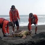 AA1JUDfv - Info Malang Raya