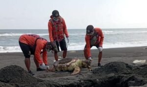 AA1JUDfv - Info Malang Raya