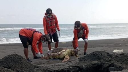 AA1JUDfv - Info Malang Raya