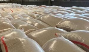 Pasokan Beras Medium di Malang Belum Stabil, Harga Rp 16.500 per Kg AA1KR4ed - Info Malang Raya