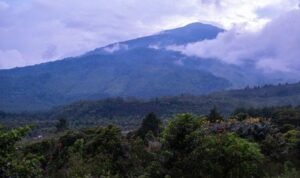 AA1Khyo1 - Info Malang Raya