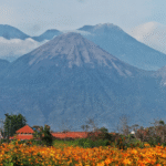 AA1L7nM6 - Info Malang Raya