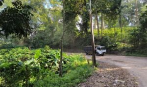 AA1LdtnW - Info Malang Raya
