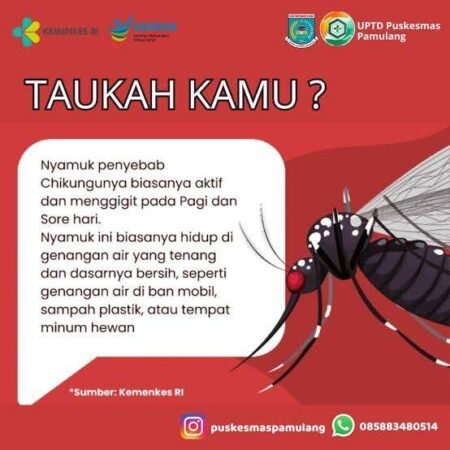chikungunya - Info Malang Raya