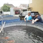 nang kolam.webp - Info Malang Raya