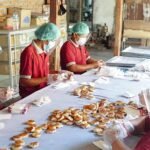 packing wingko babat - Info Malang Raya