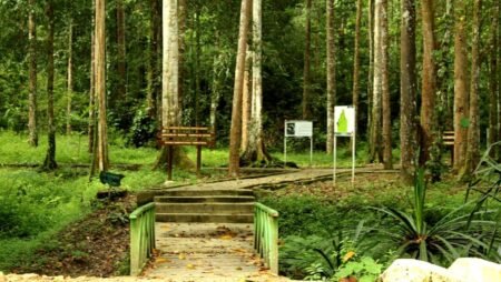 taman wisata alam sorong profile1640616182 - Info Malang Raya