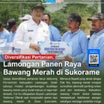 1 5 - Info Malang Raya
