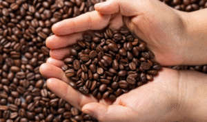 AA1L62u2 - Info Malang Raya