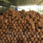 AA1L7fC0 - Info Malang Raya