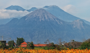AA1L7nM6 - Info Malang Raya