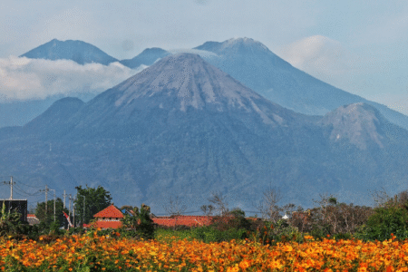 AA1L7nM6 - Info Malang Raya