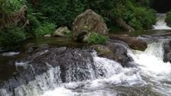 AA1M3b0s - Info Malang Raya