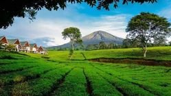 AA1MsU94 - Info Malang Raya